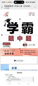 八年级上册数学2025秋新版同步学霸练习卷及答案解析